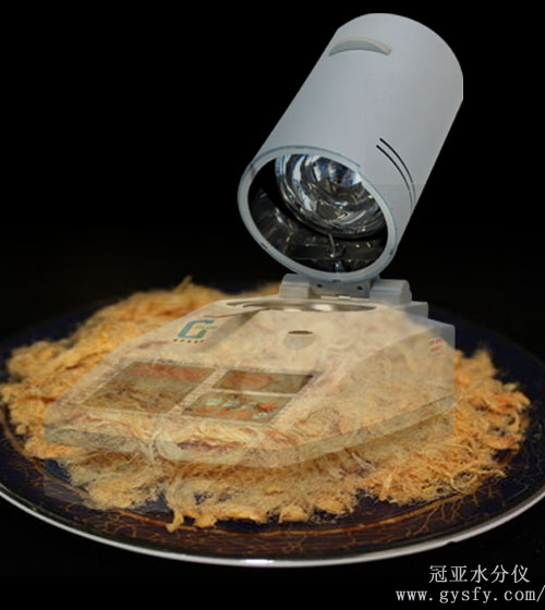 肉松水分測定儀,肉松水分儀