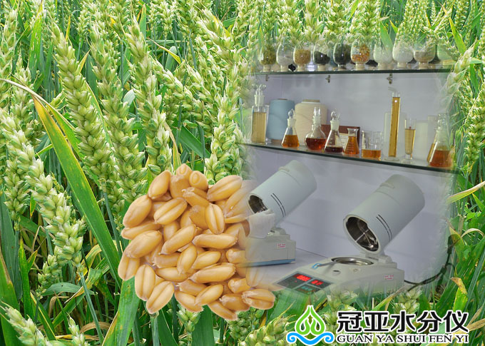 糧食水分檢測儀
