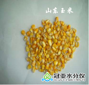 玉米水分儀