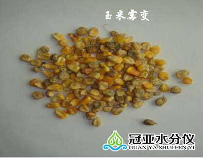 玉米水分測量儀