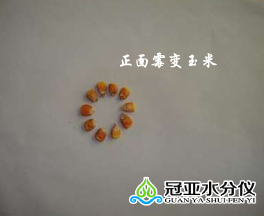 玉米測水儀,玉米水分監測儀