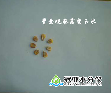 糧食玉米水分快速測定儀
