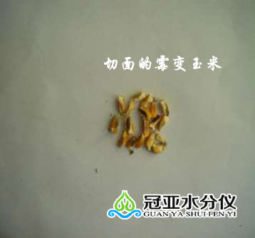 玉米,玉米標準