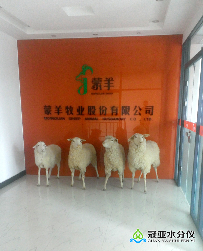羊肉水分測定儀