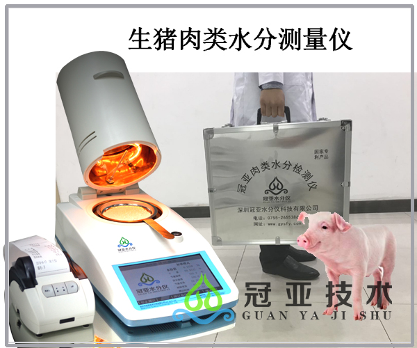 白條豬肉水分檢測儀測試