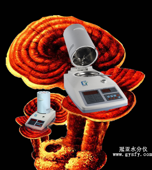 靈芝水分測量儀